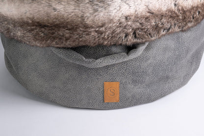 POOCH POUCH | concrete